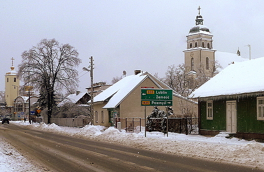 witynie Puszczy Solskiej