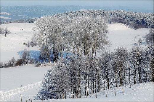 Suwalski Park Krajobrazowy zim.