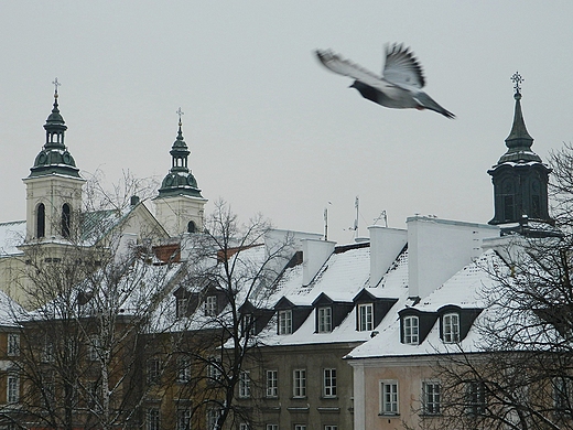 Warszawa. Lot nad dachami Starwki.