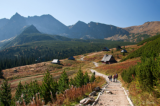 widok na Hal Gsienicow