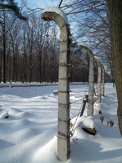 Pomnik Pomordowanych w Lesie Kranickim