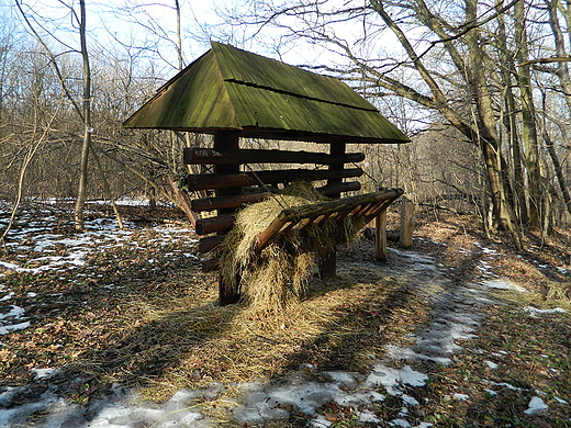 Warszawa. Lasek Bielaski.