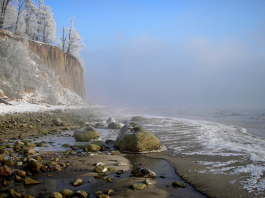 Gdynia Orowo - to by  wyjtkowo   mrony dzie -21st