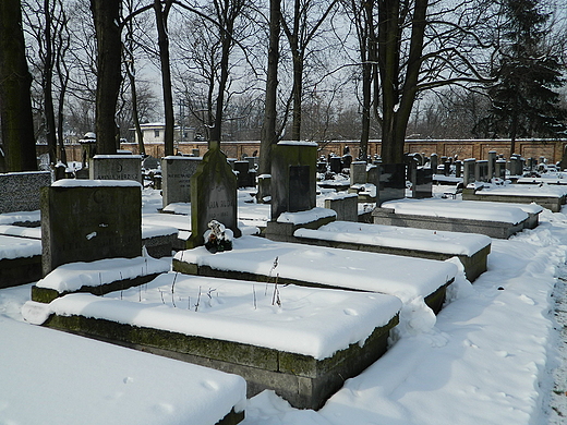 Warszawa. Muzumaski Cmentarz Tatarski.