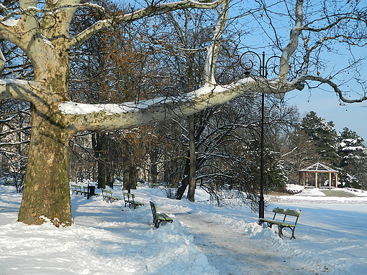 Warszawa. Zimowy Park Ujazdowski.