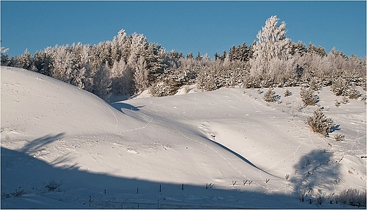 Suwalszczyzna - okolice Szurpi.