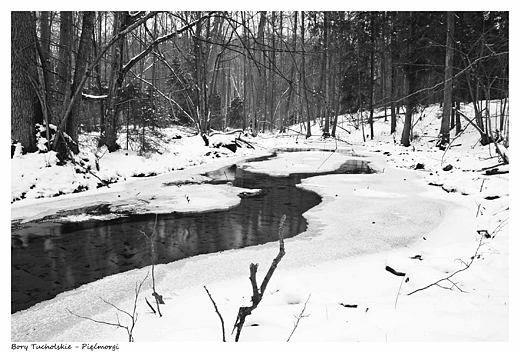Zima nad potokiem Krpa