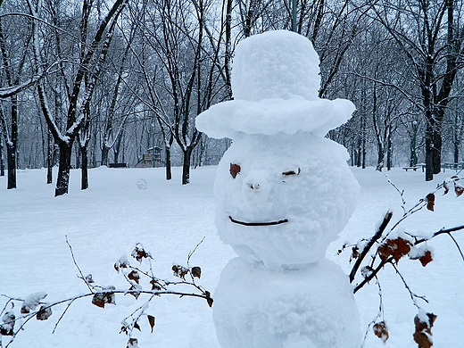 Warszawa. Zimowy Park Szczliwicki.