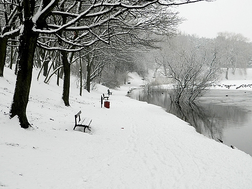 Warszawa. Zimowy Park Szczliwicki.