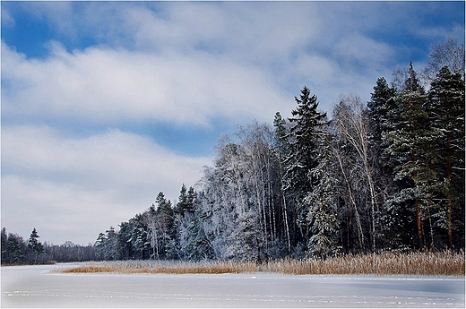 Wigierski Park Narodowy - nad jeziorem Krzywym.