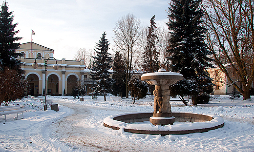 Fontanna w Parku Zdrojowym, w tle sanatorium Marconi