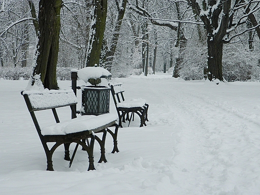 Warszawa. Zimowe azienki.