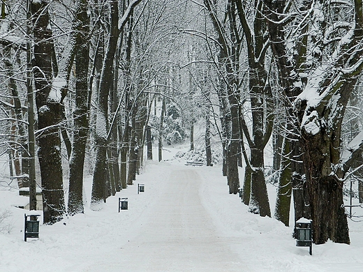 Warszawa. Zimowe azienki.