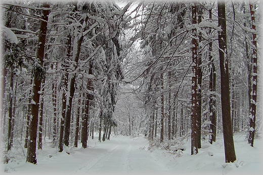 We Wrocawiu roztopy a 30 km dalej zima...