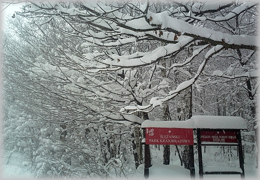 We Wrocawiu roztopy a 30 km dalej zima...