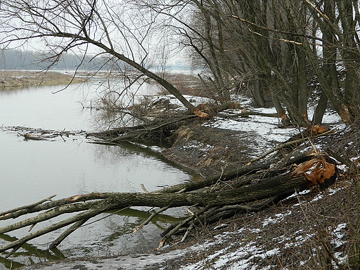 Warszawa. Szlak Goldzinowski nad Wis.