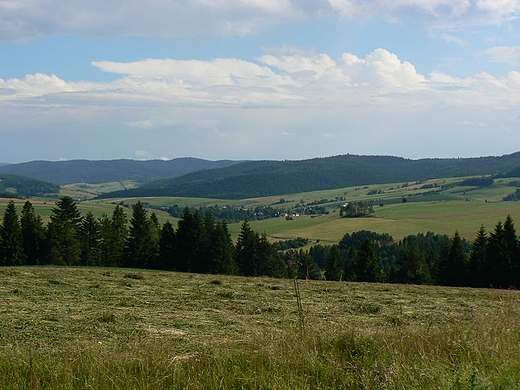 Widok z gry Piorun 743 m.npm. w stron Mochnaczki.