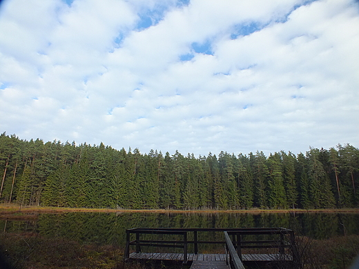 Suchar Rzepiskowy, Wigierski PN