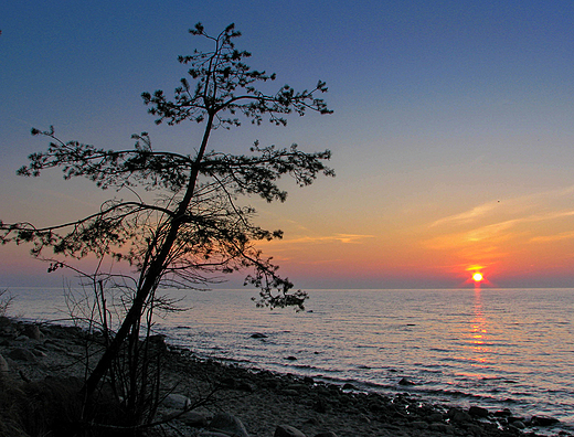 Poranek nad Zatok Gdask w Orowie ....foto 6-03-2013 r