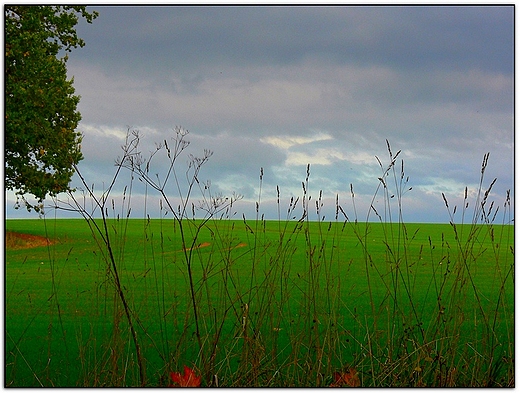 panorama z Kalwarii