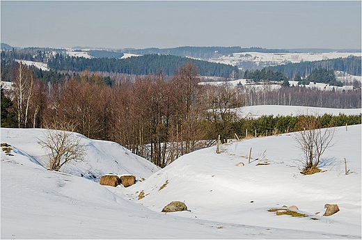 W suwalskim Parku Krajobrazowym.