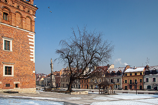 sandomierski rynek