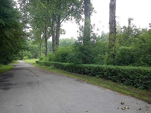 Sosnowiec-Kazimierz Grniczy.Park Lena.