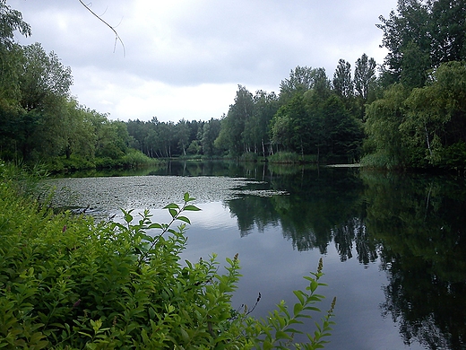 Sosnowiec-Kazimierz Grniczy.Park Lena.