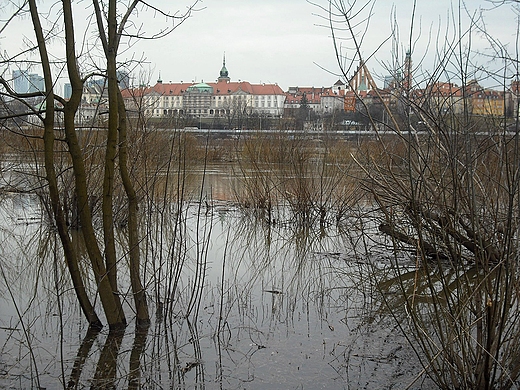 Warszawa. Nad Wis.