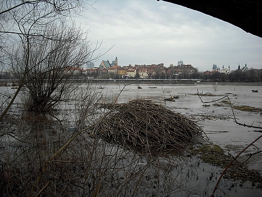 Warszawa. Nad Wis.