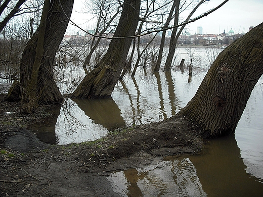 Warszawa. Nad Wis.