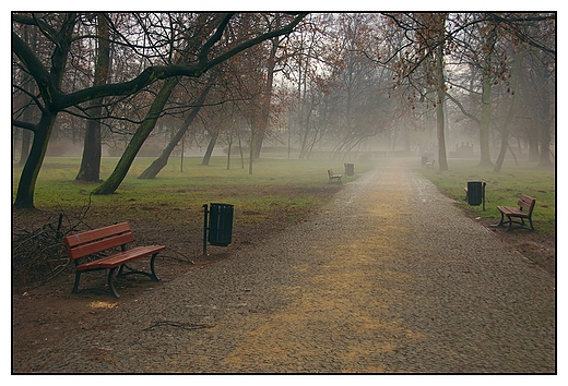 Kalisz - Park Miejski, zamglone alejki parkowe