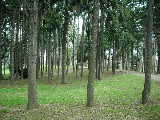 Warszawa.  Park Skaryszewski w kwietniu.