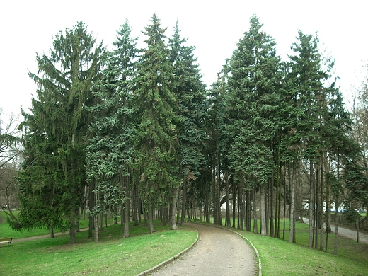 Warszawa. Park Skaryszewski w kwietniu.