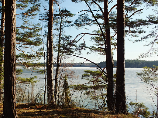 Jezioro Wigry, Zatoka Supiaska