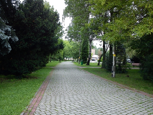 Dbrowa Grnicza-Park Hallera.