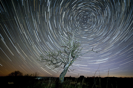 Startrails Czajewszczyzna