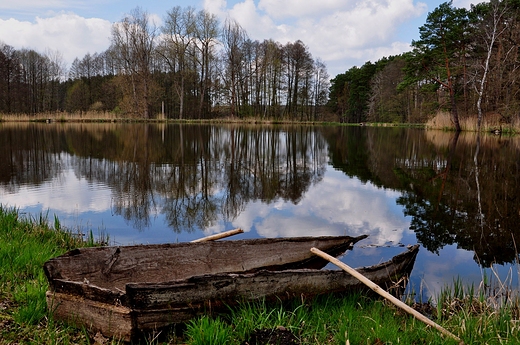 wiosennie nad stawami