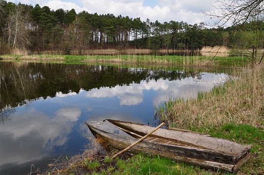 wiosennie nad stawami