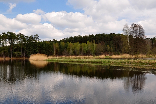 wiosennie nad stawami