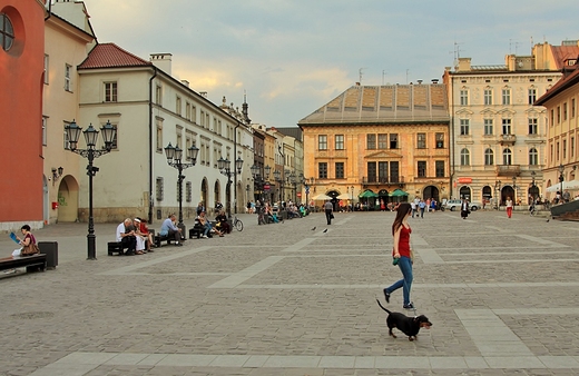 May Rynek