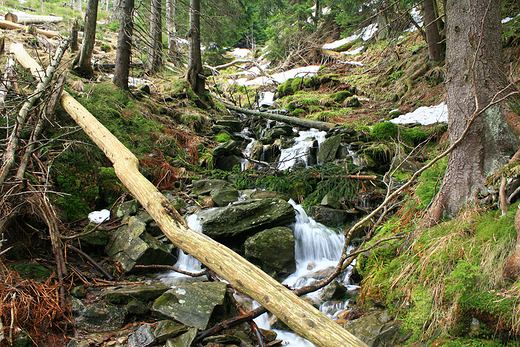 Grski potok w Dolinie Sowiej - Karkonosze