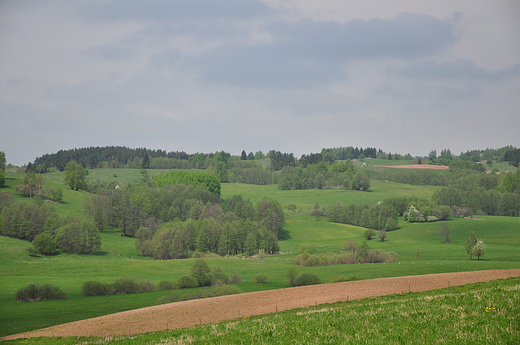 Okolice Wodziek