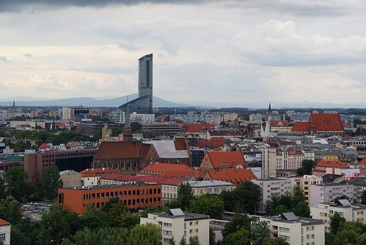 Sky Tower z wiey katedralnej na Ostrowie Tumskim