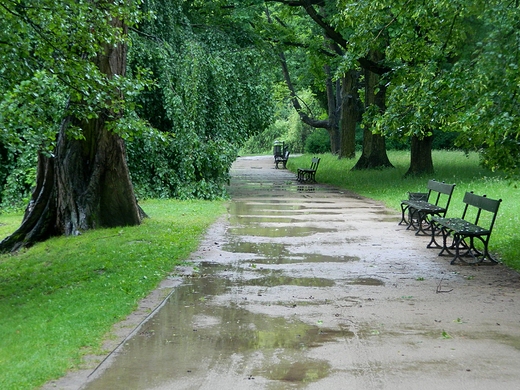 Warszawa. Deszczowe azienki.