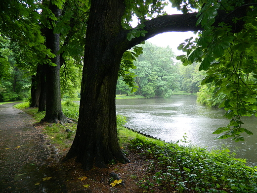 Warszawa. Deszczowe azienki.