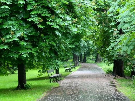 Warszawa. Deszczowe azienki.