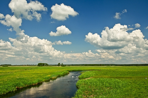 Biebrza - widok z mostu w Jagowie.