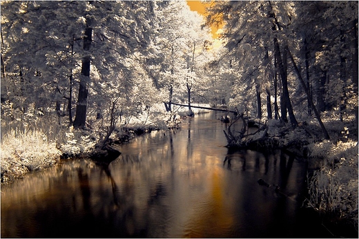 Czarna Hacza - infrared bez mieszania kanaw.