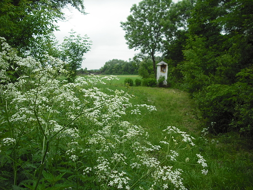 Szczypiorno. Kapliczka.